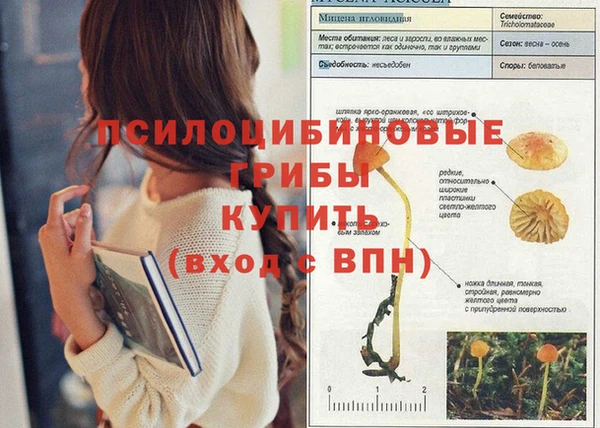 тгк Богданович